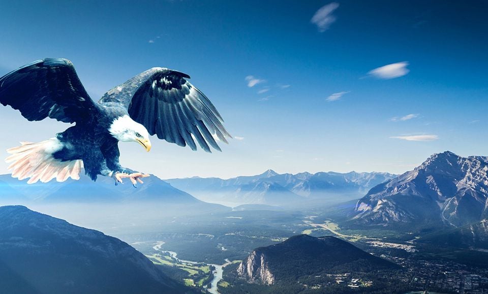 Bald eagle flying with wings spread over a vast mountain valley under a blue sky.